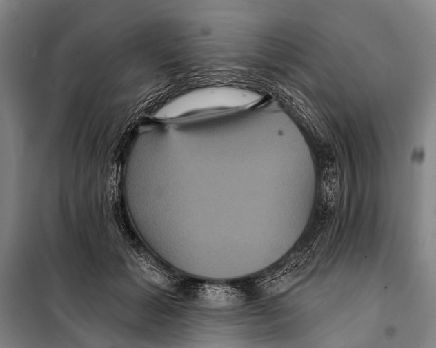 X0000097910605200804041503