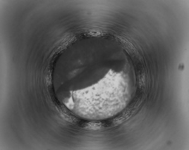 X0000097910606200804041503