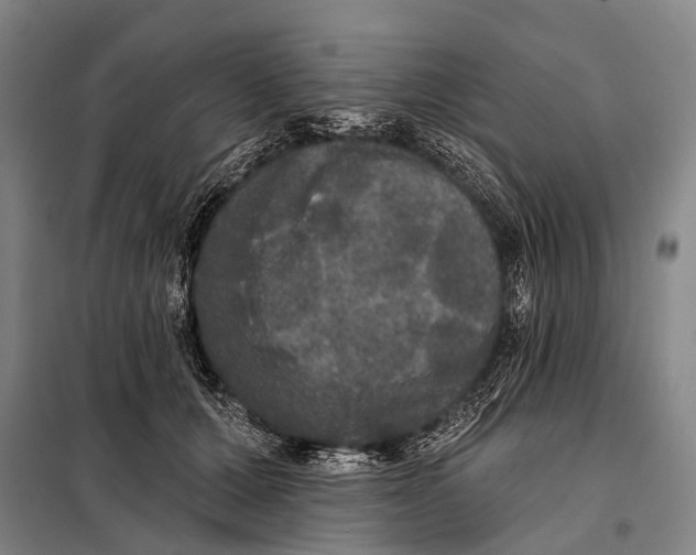 X0000097910607200804041503