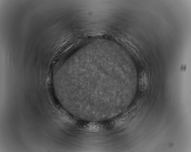 X0000097910608200804041503