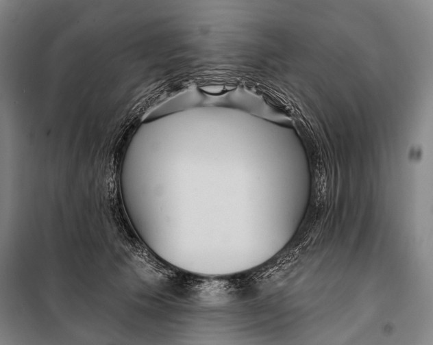 X0000097910609200804041503