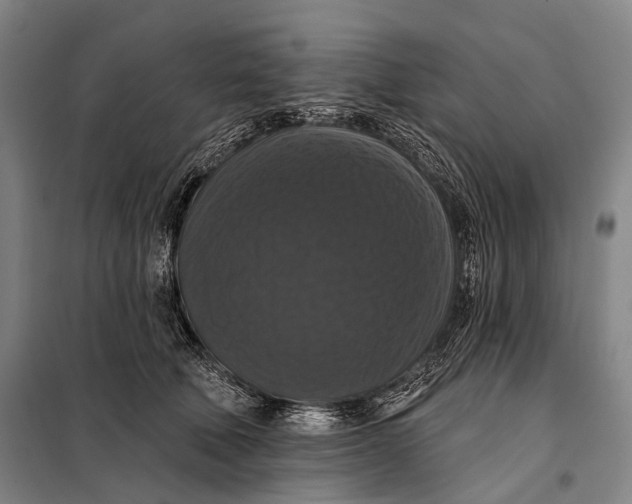 X0000097910610200804041503