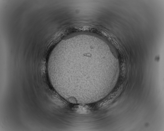 X0000097910612200804041503