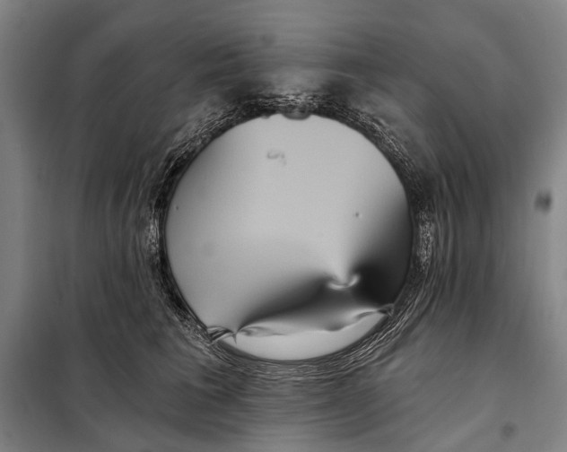 X0000097910613200804041503