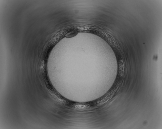 X0000097910614200804041503