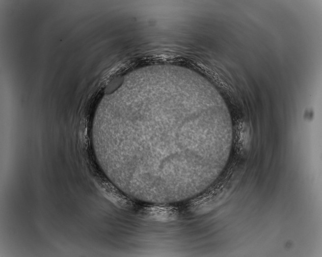 X0000097910615200804041503