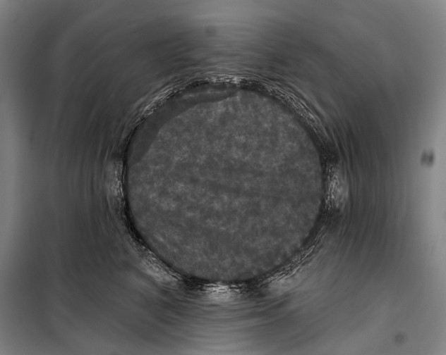 X0000097910616200804041503