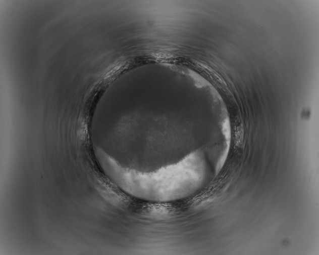 X0000097910618200804041503