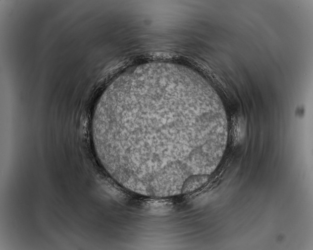 X0000097910619200804041503