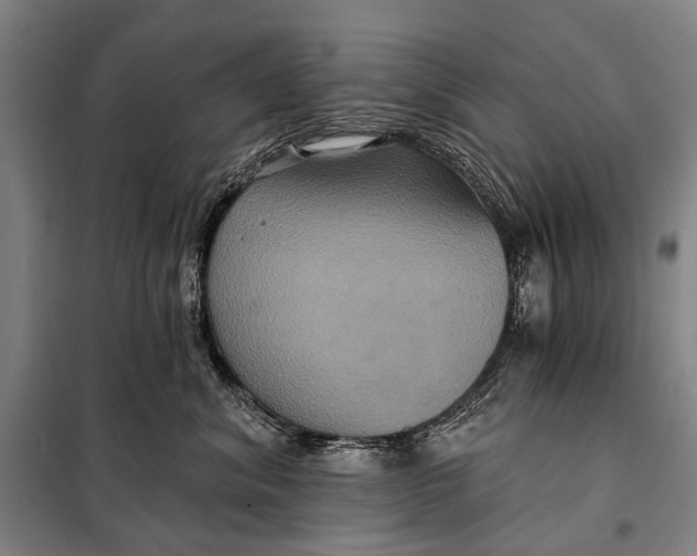 X0000097910620200804041503