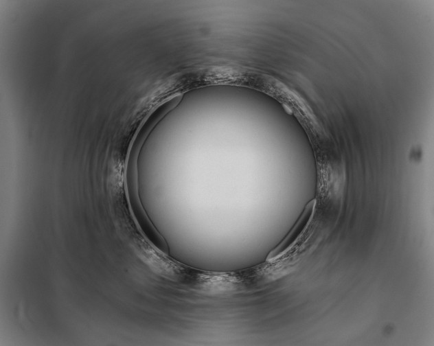 X0000097910621200804041503