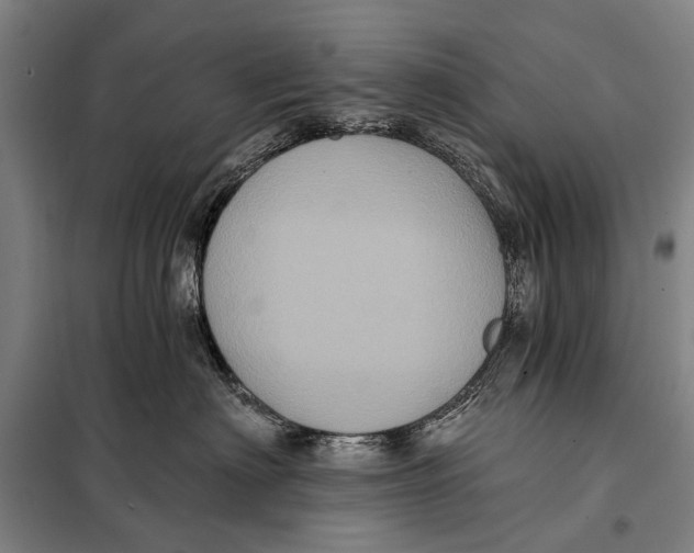 X0000097910622200804041503