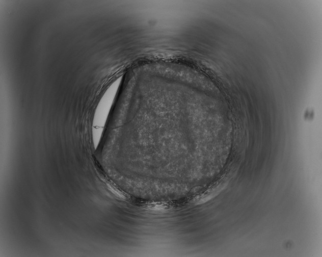 X0000097910624200804041503