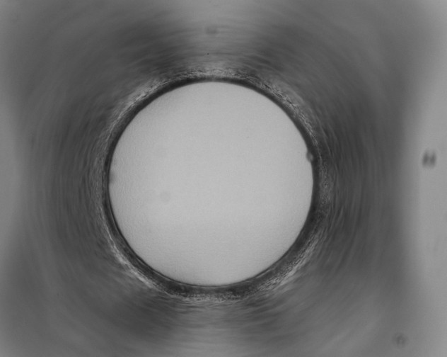 X0000097910625200804041502