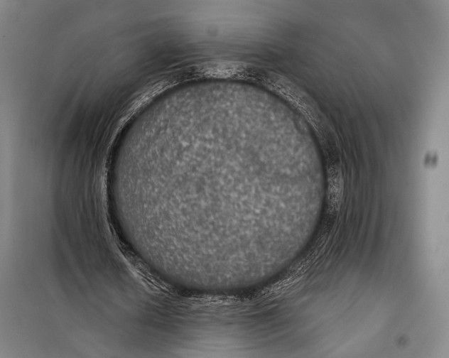 X0000097910626200804041502