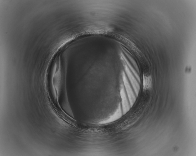 X0000097910627200804041502