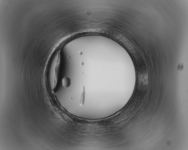 X0000097910628200804041502