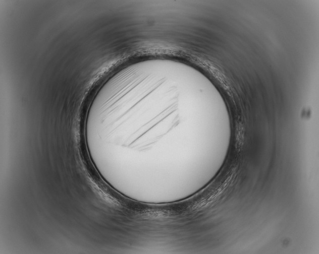 X0000097910629200804041502