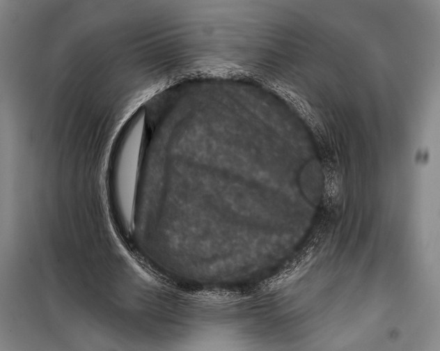 X0000097910630200804041502