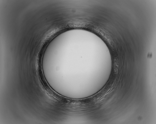 X0000097910631200804041502