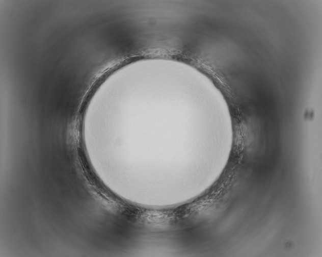 X0000097910632200804041502