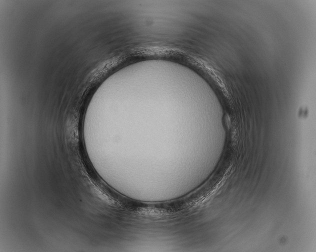 X0000097910633200804041502