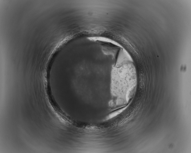 X0000097910634200804041502