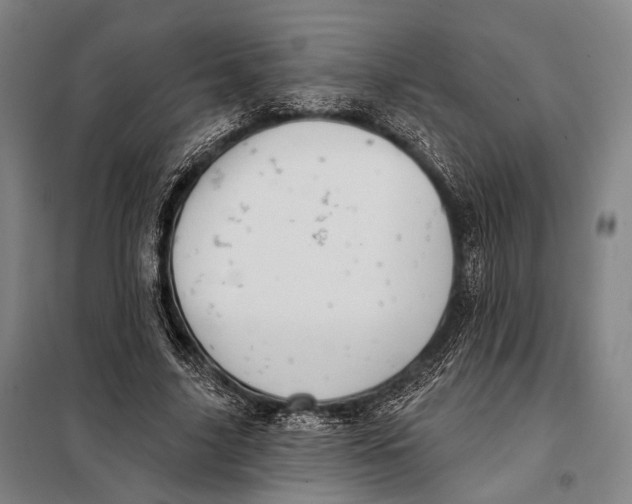 X0000097910635200804041502