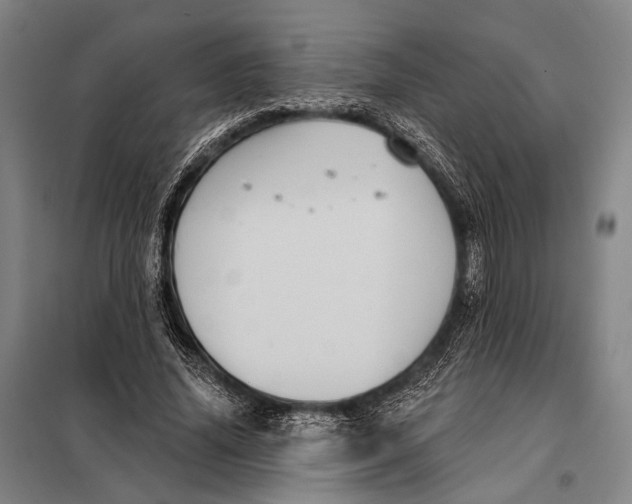 X0000097910636200804041502