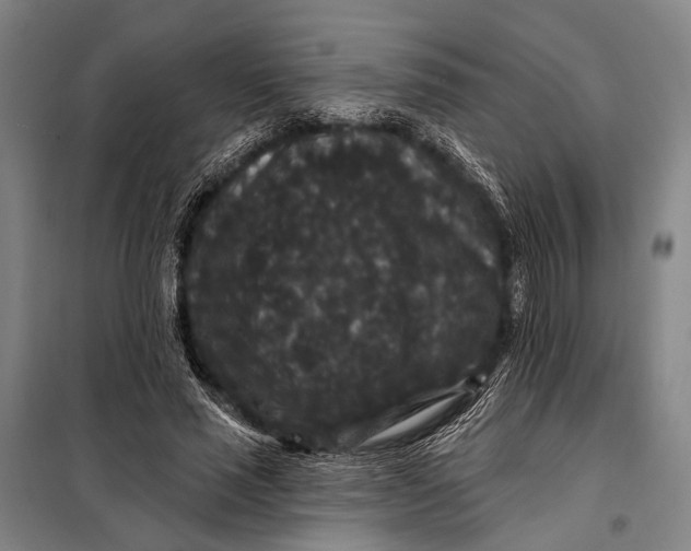 X0000097910637200804041502