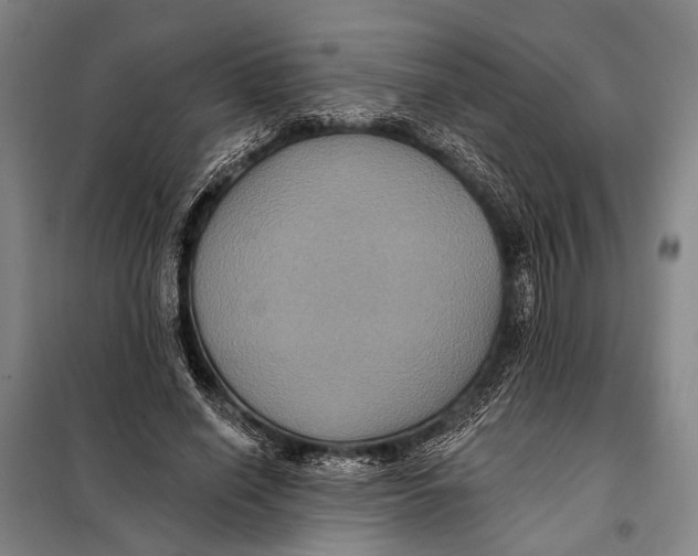 X0000097910638200804041502