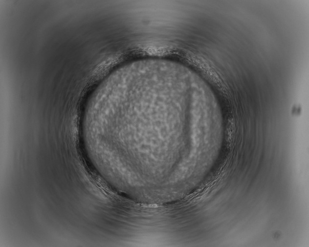 X0000097910639200804041502