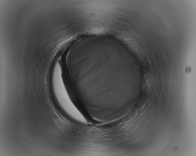 X0000097910640200804041502