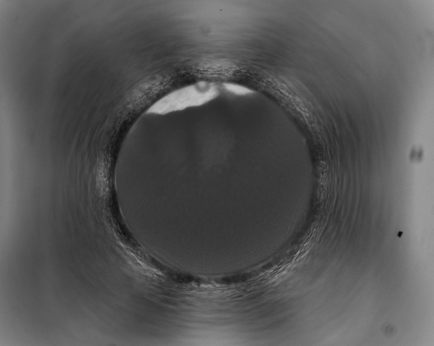 X0000097910641200804041502