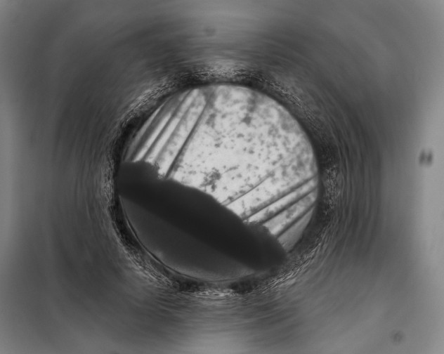 X0000097910642200804041502