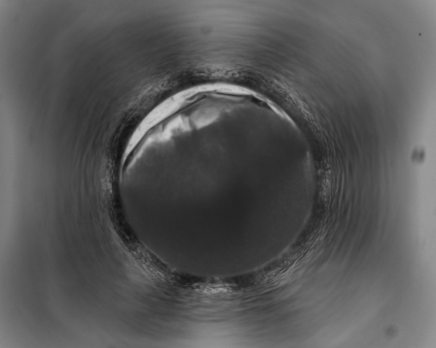 X0000097910643200804041502