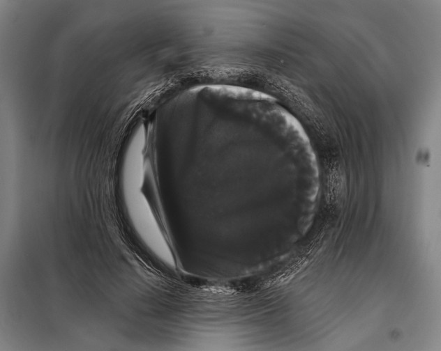 X0000097910644200804041502