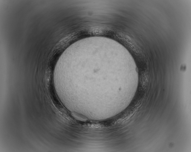 X0000097910645200804041502