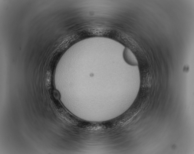 X0000097910646200804041502