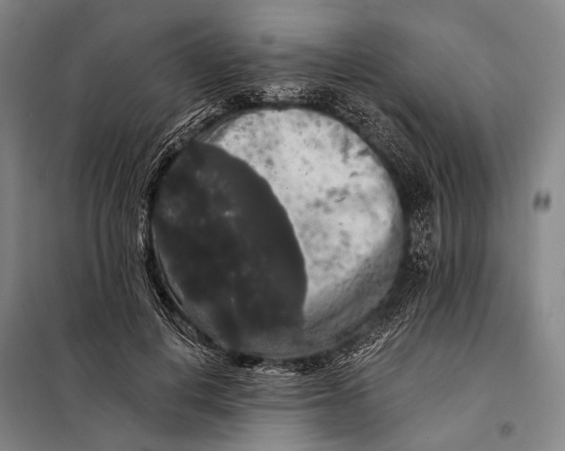 X0000097910648200804041502