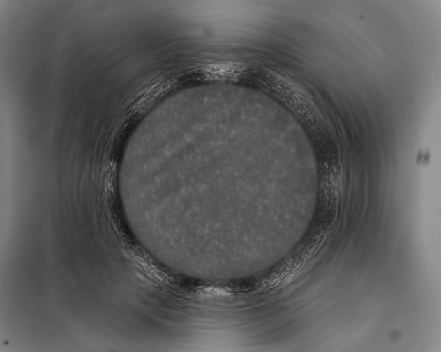 X0000097910649200804041502