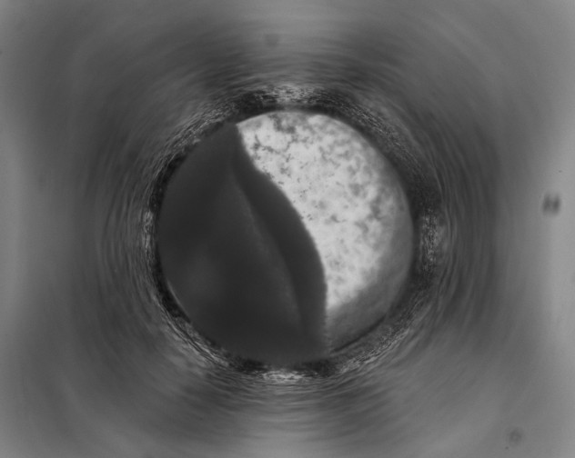 X0000097910650200804041502