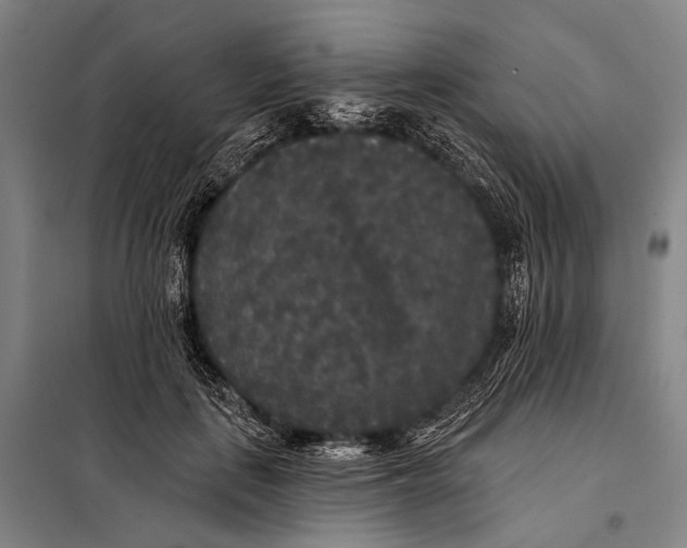 X0000097910651200804041502