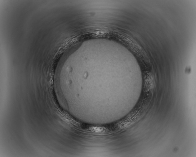 X0000097910654200804041502