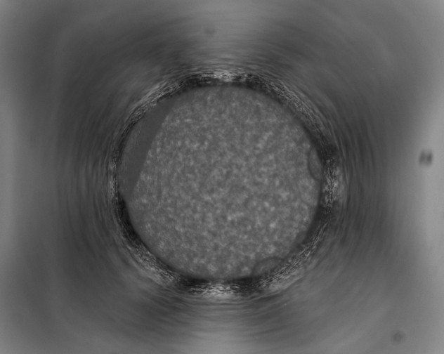 X0000097910656200804041502