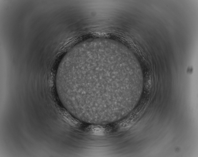 X0000097910658200804041502