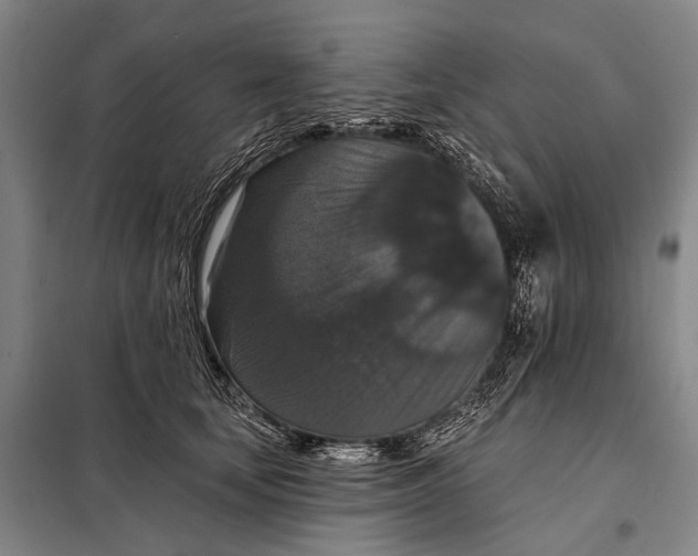 X0000097910659200804041502