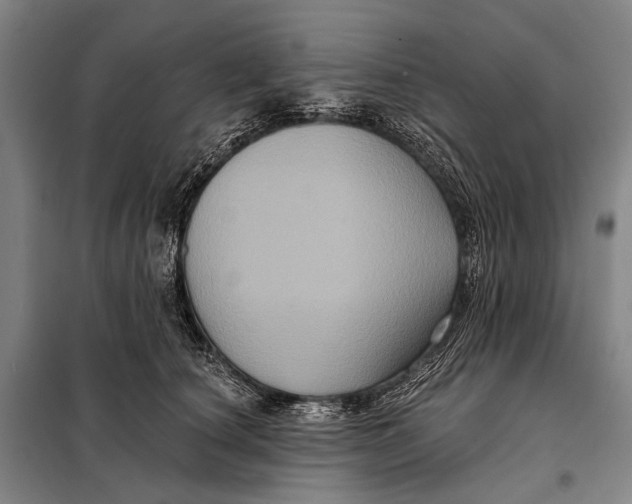 X0000097910660200804041502