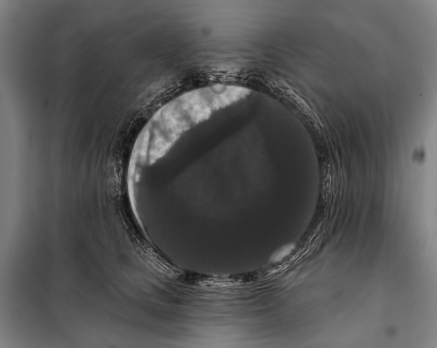 X0000097910661200804041502