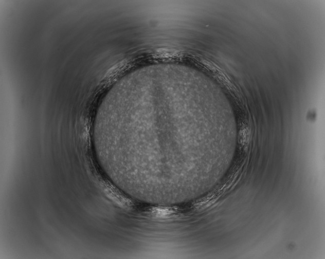 X0000097910662200804041502